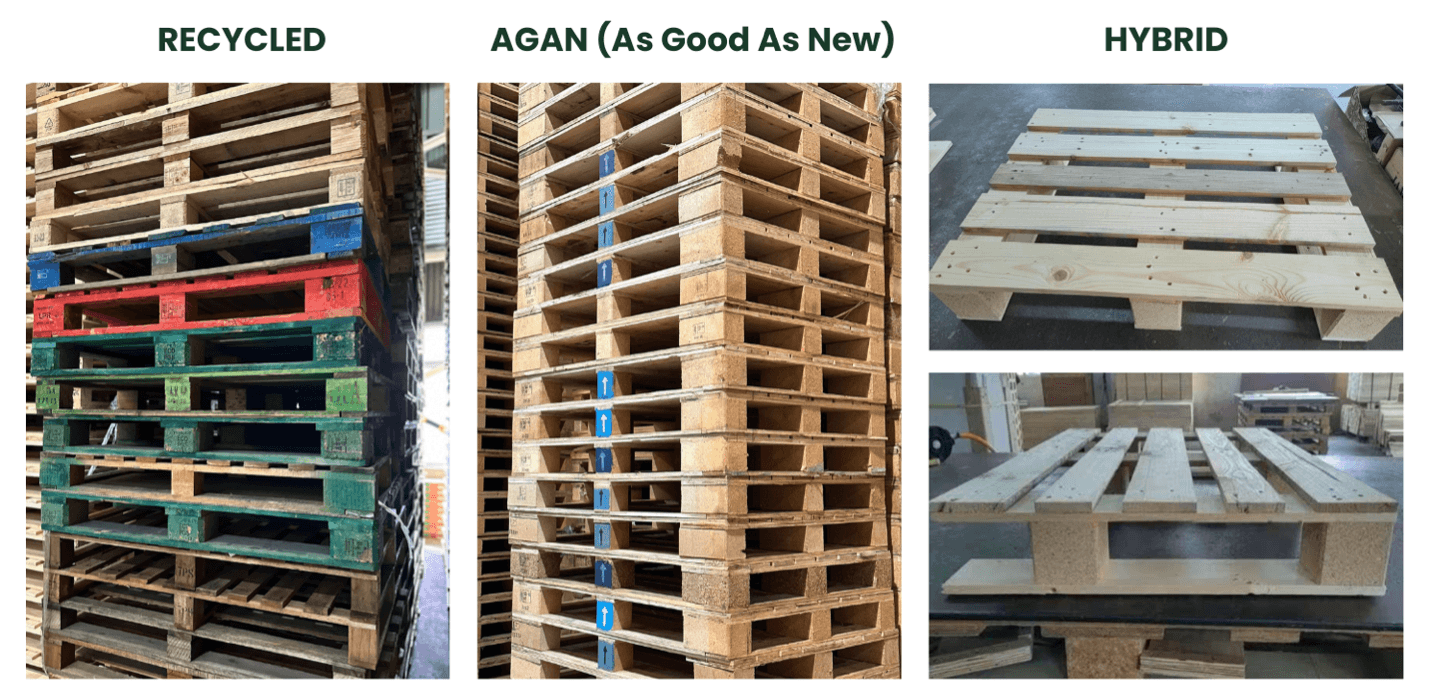 Recycled, as good as new and hybrid pallets